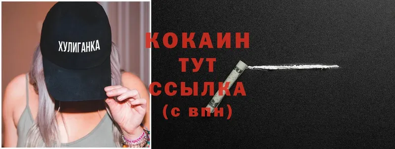 Cocaine FishScale  купить закладку  Кисловодск 