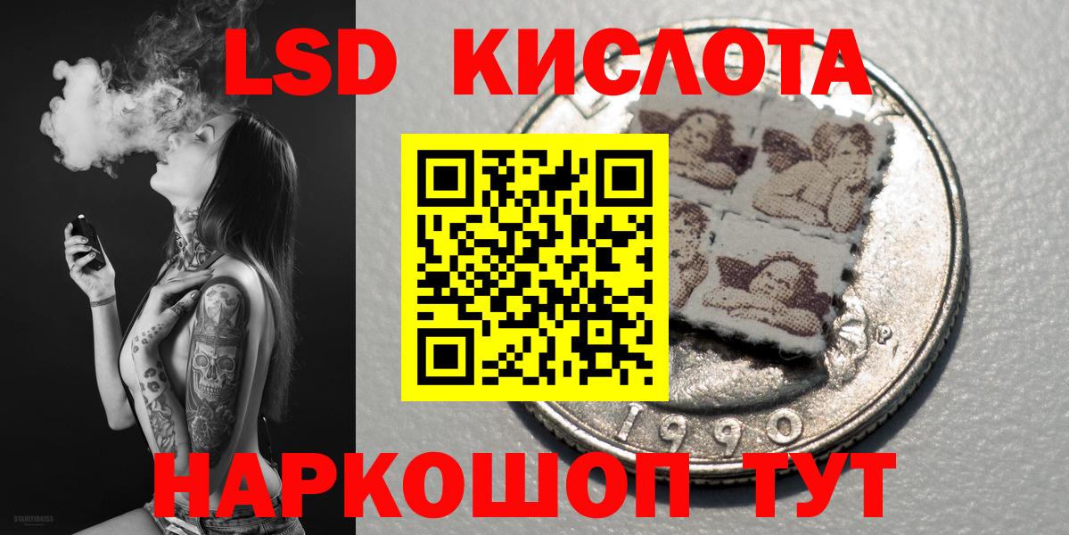 Галлюциногенные грибы Кисловодск