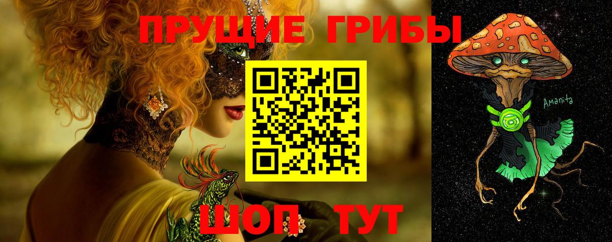 Кисловодск  Галлюциногенные грибы Psilocybine cubensis  Вход с VPN 