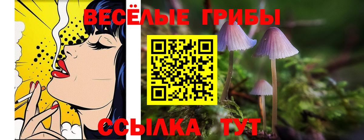 Псилоцибиновые грибы Cubensis Кисловодск